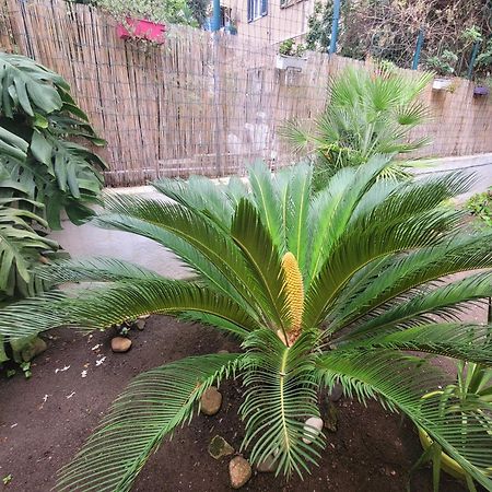 巴勒莫Leoni63公寓 外观 照片